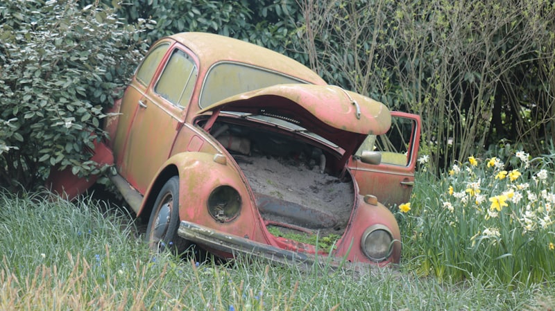 Got a Junk Car in Your Garden? Here is How to Finally Get Rid of It